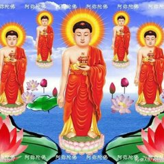 师父：因和果之间是否对等